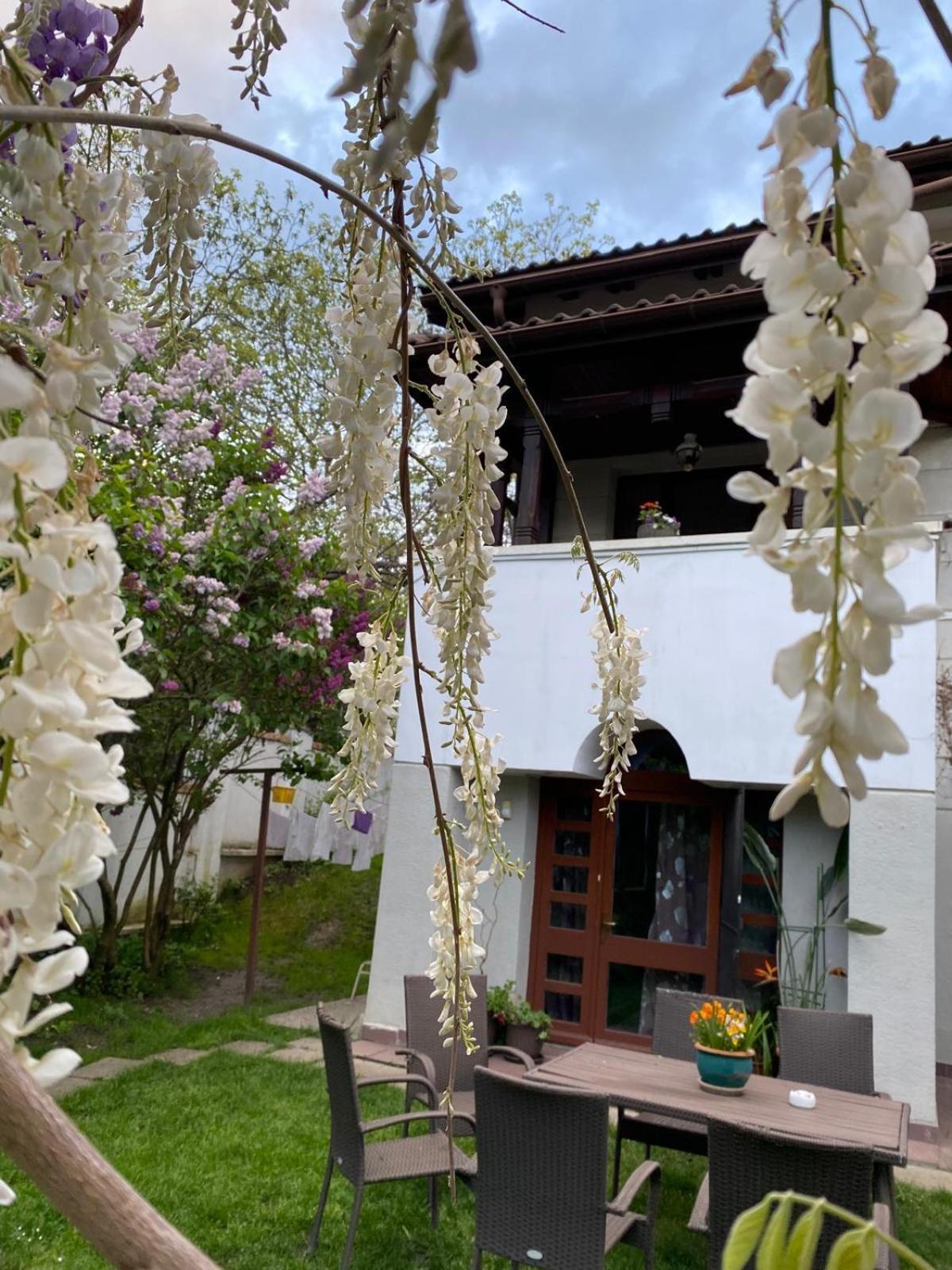 Rapsodia Pension Suceava Exterior foto